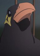 Rei another 34379