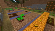 ChillsFarmDestroyed