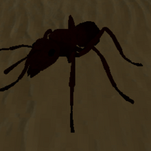 Ant Life Wiki Fandom - roblox roblox roblox an ant movies