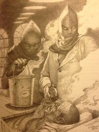 Wint-kidd almond-illustration