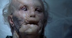 VergerSprichtClarice