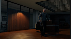 QuinnInSuite