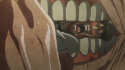 BertholdTod
