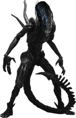 Roblox Xenomorph