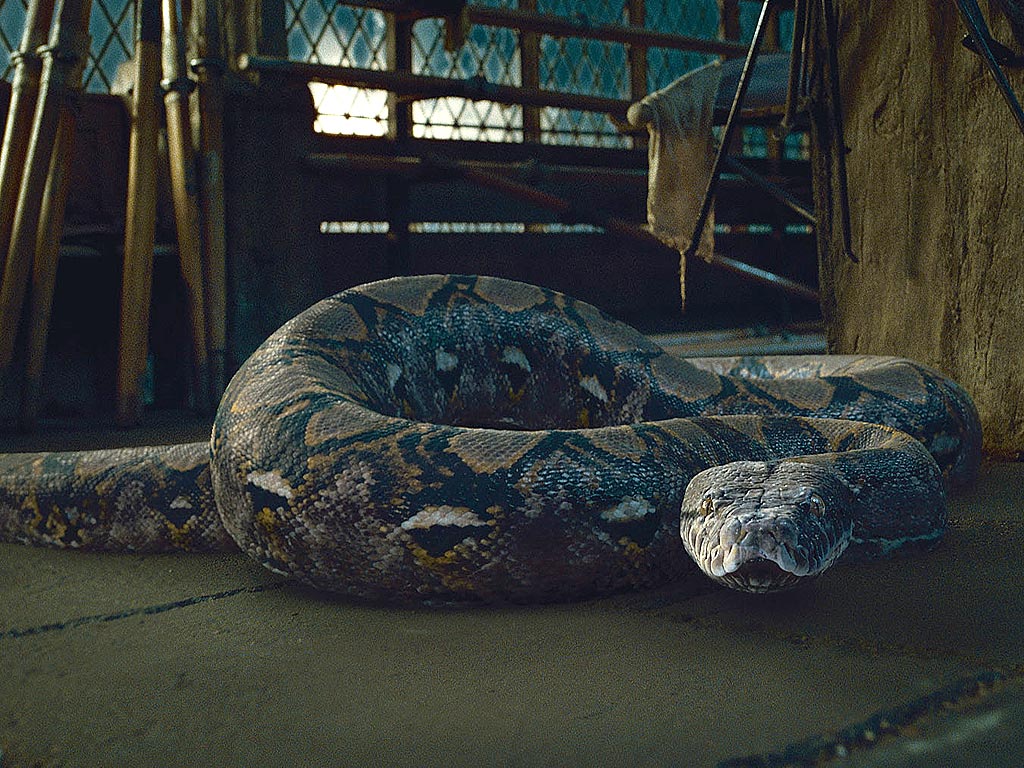 Nagini | Antagonists Wiki | FANDOM powered by Wikia