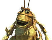 Moltbugslife