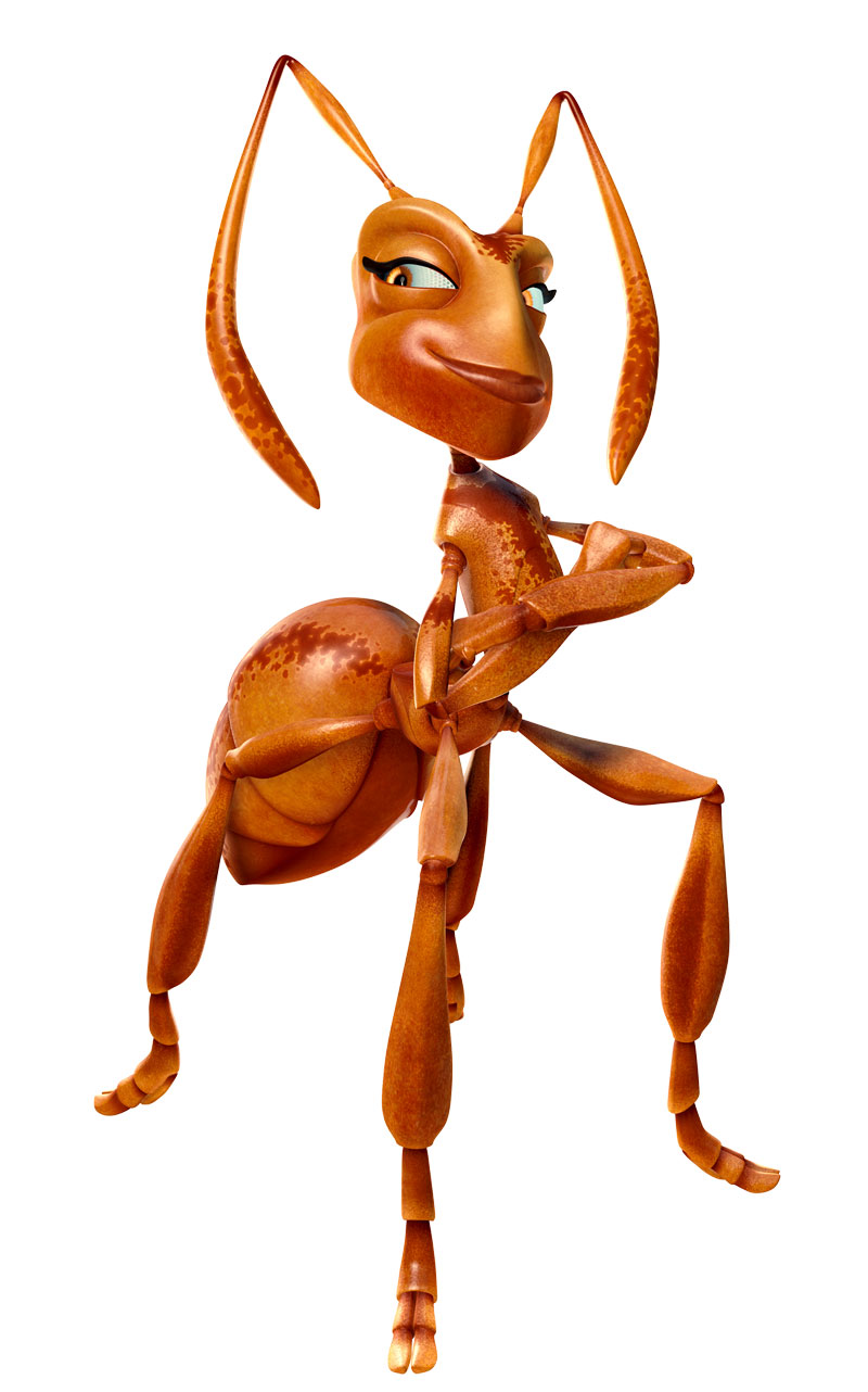 the ant