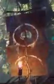 Scar Banner