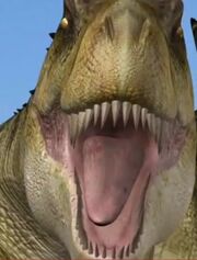 Rexoriginal