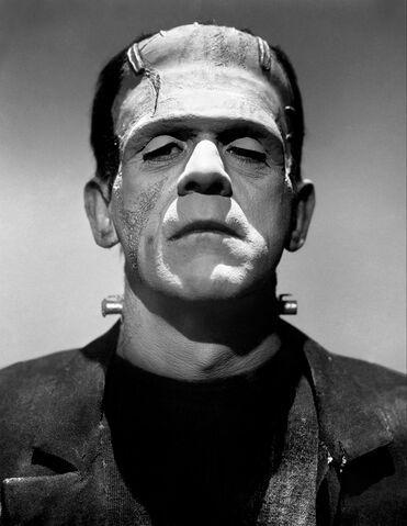 Frankenstein’s Monster | Anti Heroes Wiki | Fandom