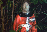 The Alien in the forest