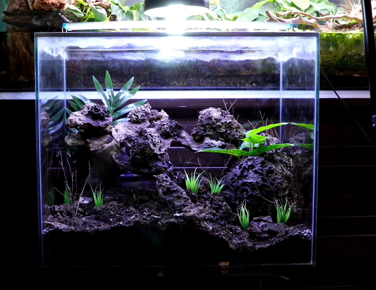 Palace of Mounds AntsCanada Wiki Fandom