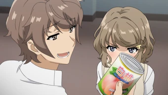 Episode 5 Seishun Buta Yarou Wa Bunny Girl Senpai No Yume Wo