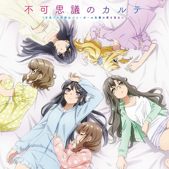Fukashigi No Karte Seishun Buta Yarou Wa Bunny Girl Senpai No