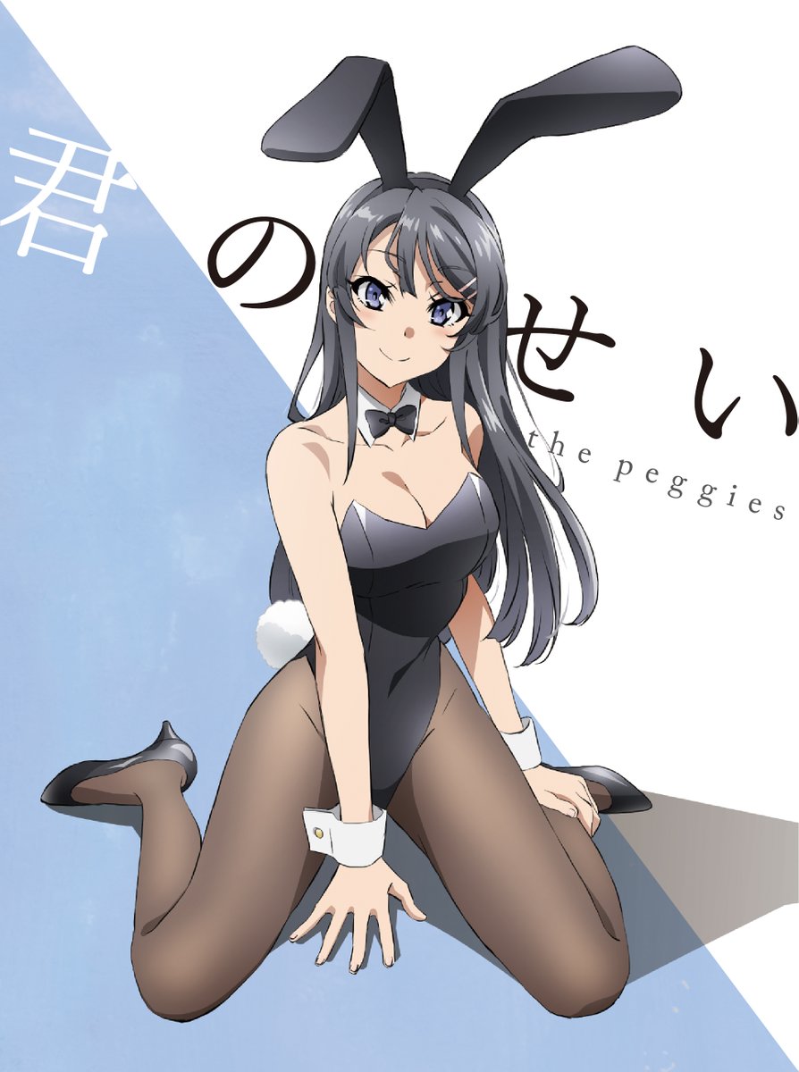 Kimi no Sei Seishun Buta Yarou wa Bunny Girl Senpai no Yume wo Minai