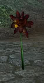 Golden lotus