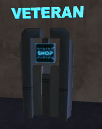Veteran2