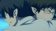 Ao-no-exorcist-rin-and-yukio-h1n-net