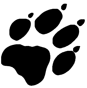 latest?cb=20120316041117