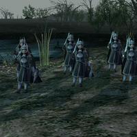 Dunedain Soldiers Age Of The Ring Mod Wiki Fandom
