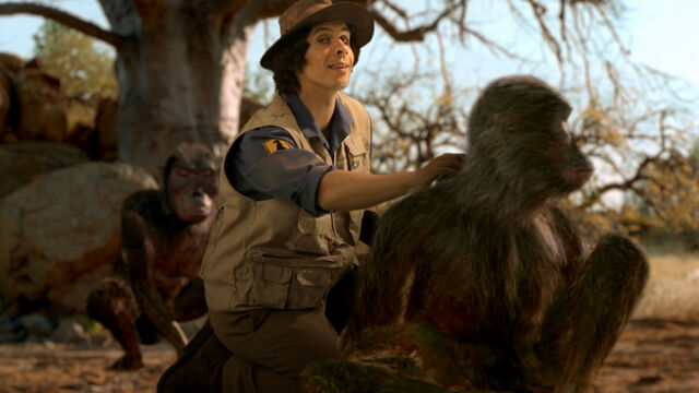 File:APA-AndyGroomingAustralopithecus.jpg
