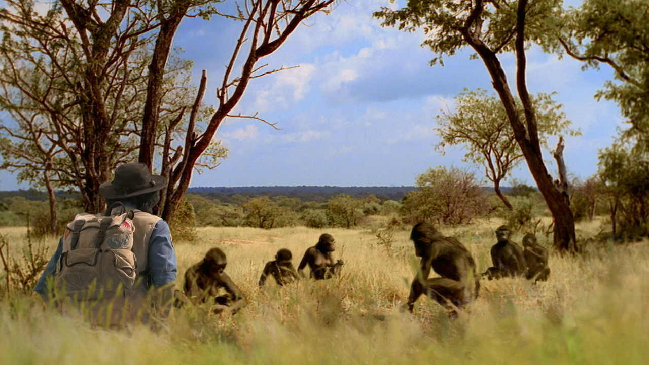 andy and the dinosaurs