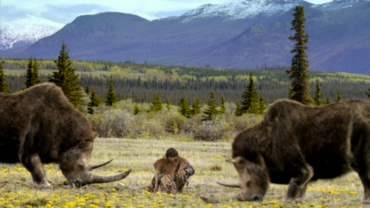 Woolly Rhino and Flowers Andy's Fandom Adventures Fandom
