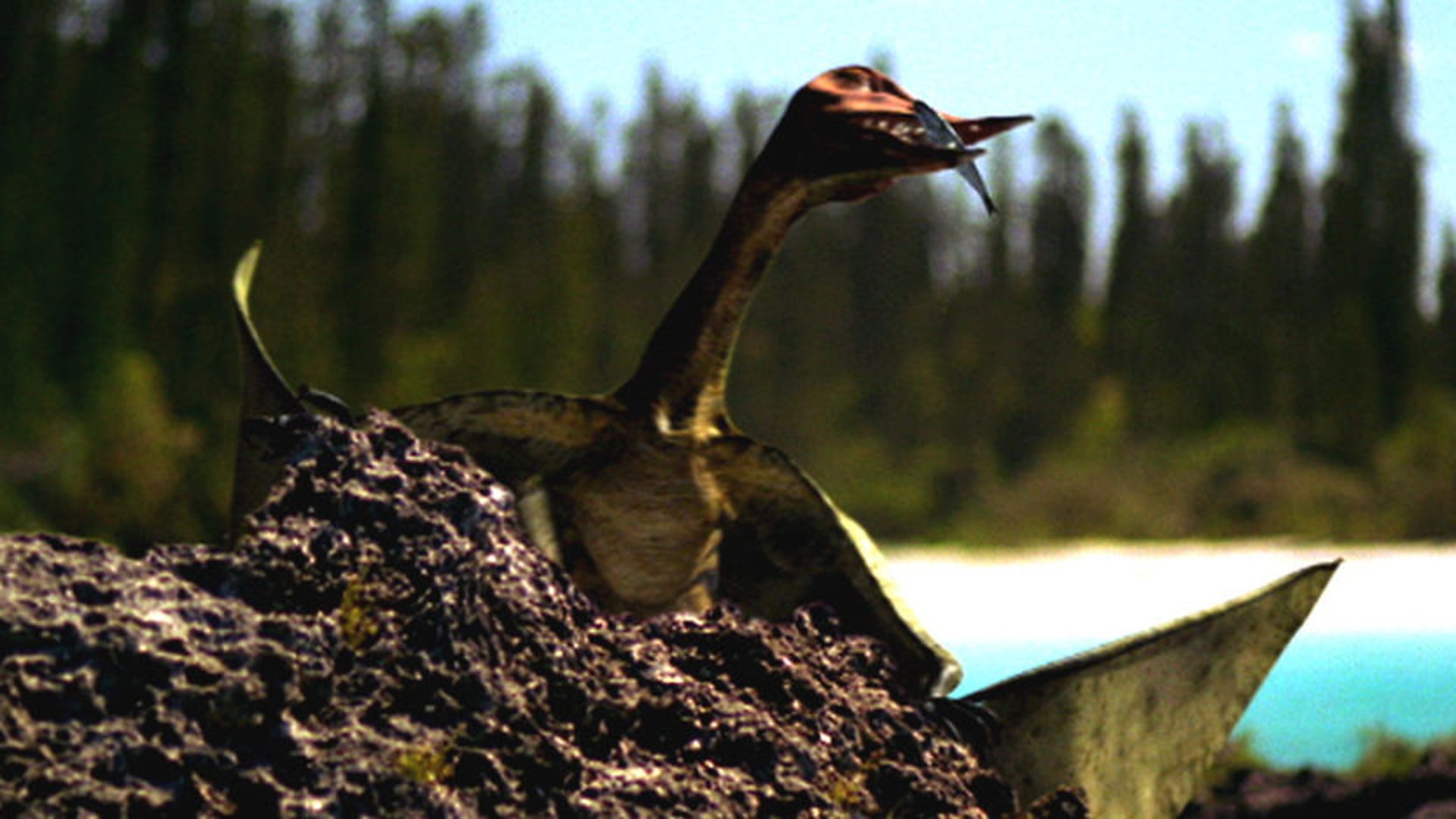 rhamphorhynchus pterosaur