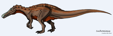 Suchomimus