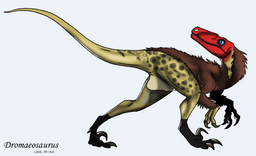 Dromaeosaurus