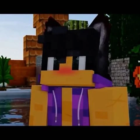 Skins | Aphmau Wiki | FANDOM powered by Wikia