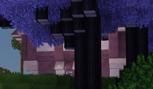 Aph's old house