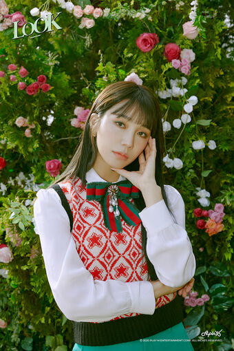 Eunji Apink Wiki Fandom