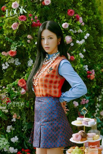 Chorong Apink Wiki Fandom