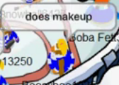 Makeup