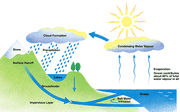 Water cycle