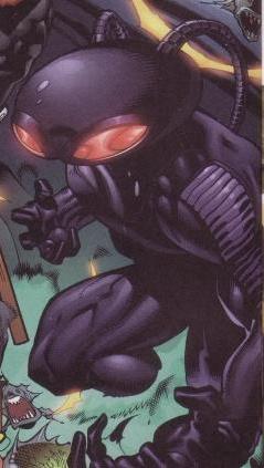 Blackmanta1
