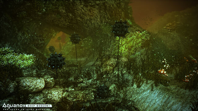 File:ANG Shot MinefiledAtCave.jpg