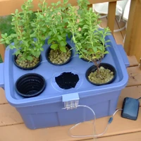 Deep Water Culture Aquaponics Wiki Fandom