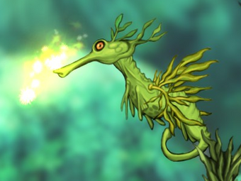 Seadragon Aquaria Wiki Fandom