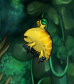 Fish coward