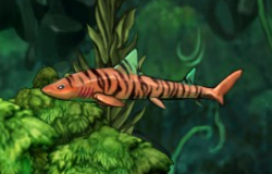 Fish enemy shark tiger