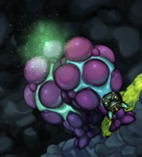 Fish enemy nest aggroeggs aggrobaby
