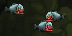Fish enemy piranha red belly