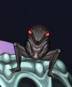 Fish enemy toad