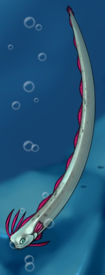 Fish big oarfish