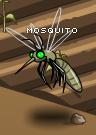 MOSQUITO