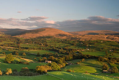 Dalelands1