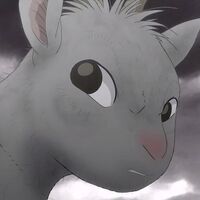 Get Wallpaper Madre De Mei Wiki Arashi No Yoru Ni Fandom Desktop Wallpaper