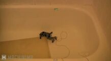 Chief's nasty fall